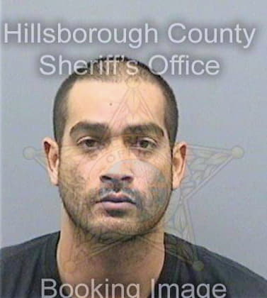 Pinto Joshua - Hillsborough County, FL 