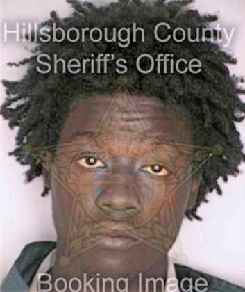 Bivens Dominic - Hillsborough County, FL 