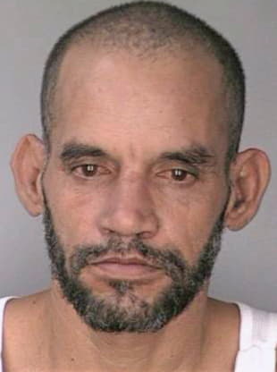Meza Caesar - Hillsborough County, FL 