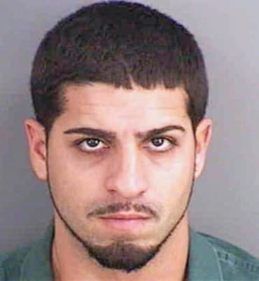 Hernandez Jose - Collier County, FL 