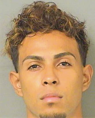 Hernandez Samuel - PalmBeach County, FL 