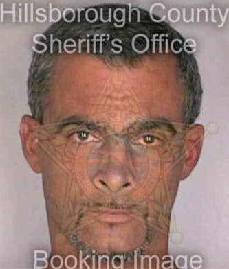 Millan Sigfredo - Hillsborough County, FL 