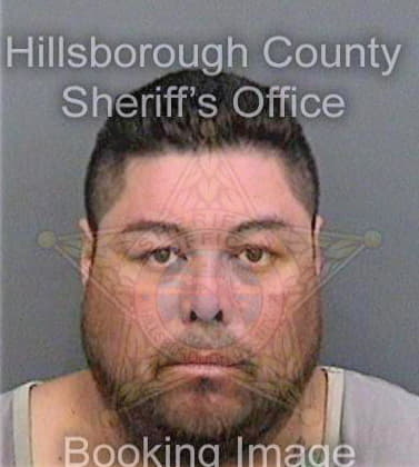 Gonzalez Carlos - Hillsborough County, FL 