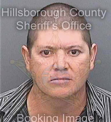 Cortes Alejandro - Hillsborough County, FL 