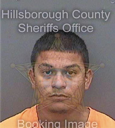 Cruz Alejandro - Hillsborough County, FL 