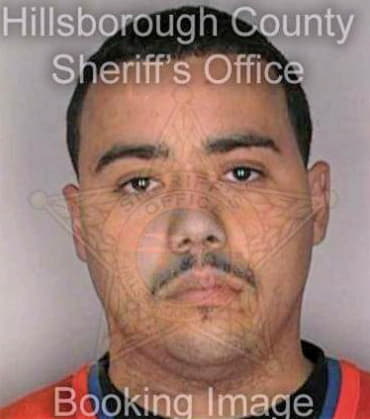 Santiago Carlos - Hillsborough County, FL 