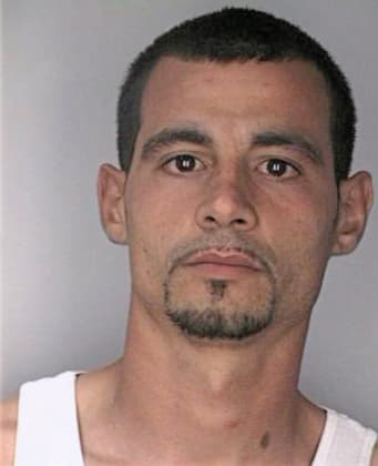 Crespo Manuel - Hillsborough County, FL 