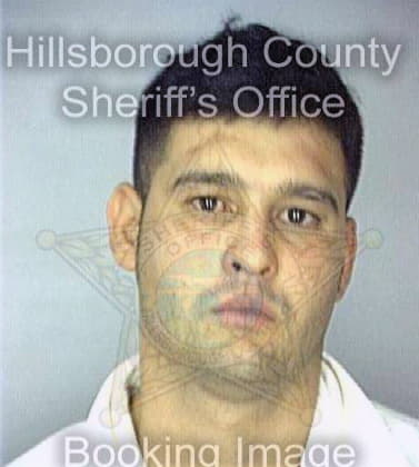 Tozzi Ronald - Hillsborough County, FL 