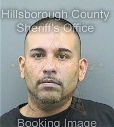 Paez Victor - Hillsborough County, FL 