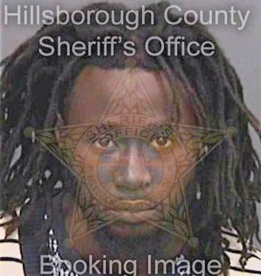 Milledge Diron - Hillsborough County, FL 