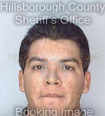 Lopez Fausto - Hillsborough County, FL 