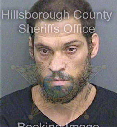 Raulerson James - Hillsborough County, FL 