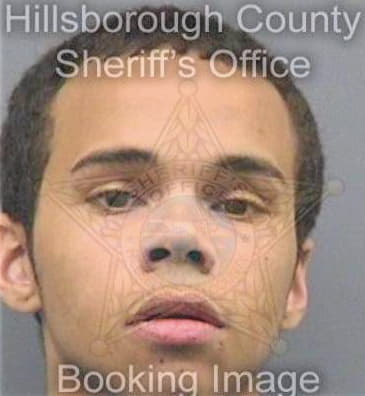 Thompson Shawn - Hillsborough County, FL 