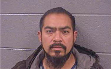 Alvarez-Carmons Ramiro - Cook County, IL 