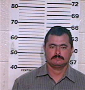 Hernandez Mario - Hidalgo County, TX 