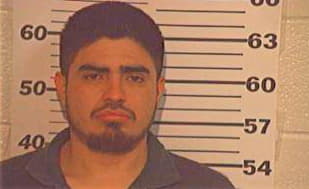 Verastegui David - Hidalgo County, TX 