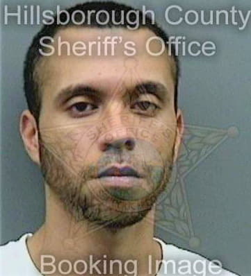 Davila Carlos - Hillsborough County, FL 