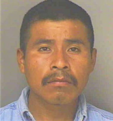 Garcia Fernando - Polk County, FL 