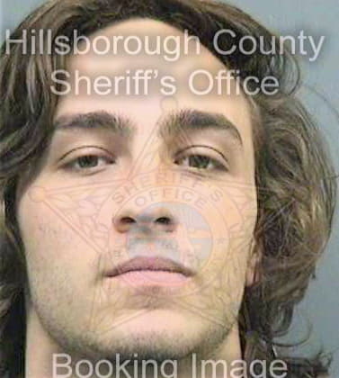 Lardino Nicholas - Hillsborough County, FL 