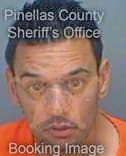 Singhal Neil - Pinellas County, FL 