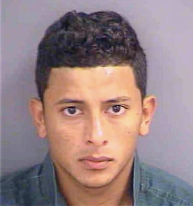 Alemanlopez Sergio - Collier County, FL 