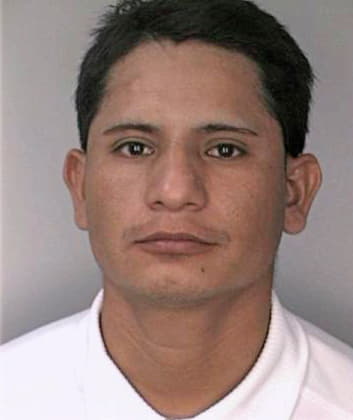 Carmelo Alonso - Hillsborough County, FL 