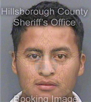 Calvovazquez Jose - Hillsborough County, FL 