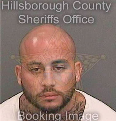 Mendez Benjamin - Hillsborough County, FL 