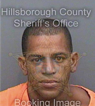 Vega Jose - Hillsborough County, FL 