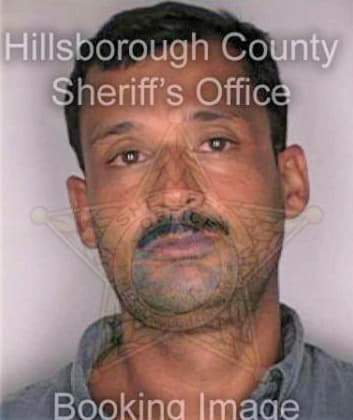 Martinez Pedro - Hillsborough County, FL 