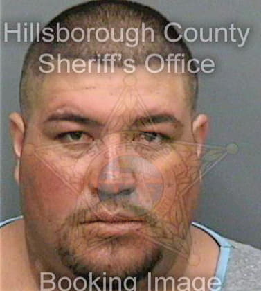 Ferreiravazquez David - Hillsborough County, FL 