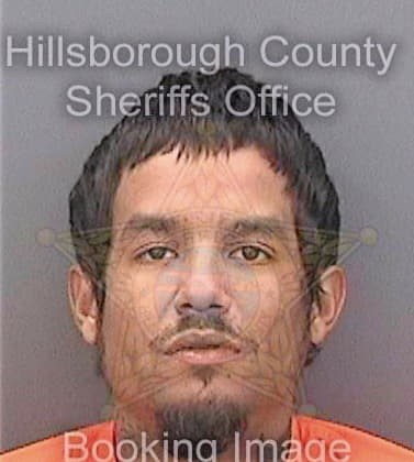 Dominguez William - Hillsborough County, FL 