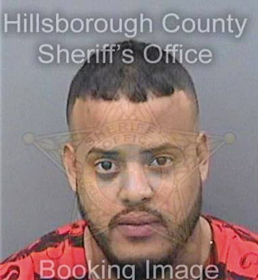 Cespedesdiaz Fransisco - Hillsborough County, FL 