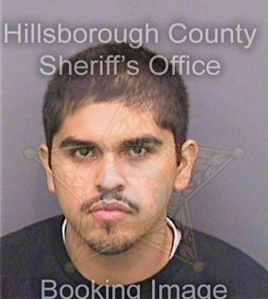 Cardenas Santos - Hillsborough County, FL 