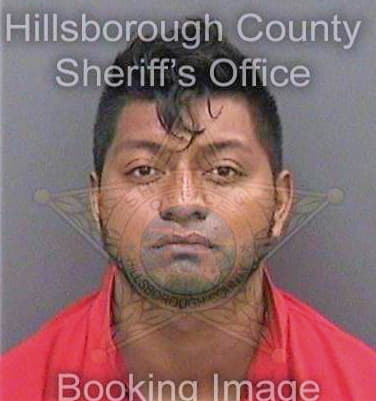 Cruzvazquez Belisario - Hillsborough County, FL 