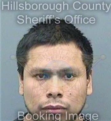 Gomezdiaz Miguel - Hillsborough County, FL 