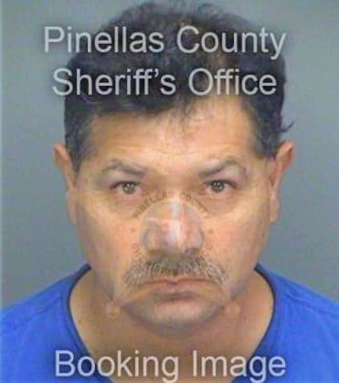 Perezperez Pedro - Pinellas County, FL 