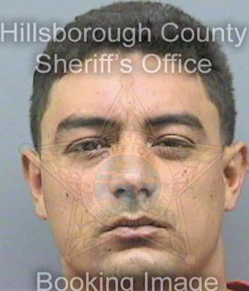 Perez Luis - Hillsborough County, FL 