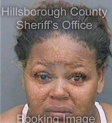 Johnson Sherida - Hillsborough County, FL 