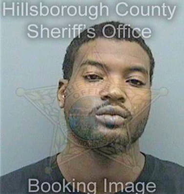 Bowie Damian - Hillsborough County, FL 
