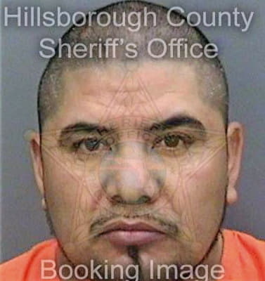 Ortizmartinez Roy - Hillsborough County, FL 