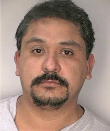 Mendozahernandez Felix - Hillsborough County, FL 