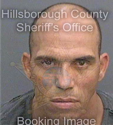 Hernandezgarcia Narciso - Hillsborough County, FL 