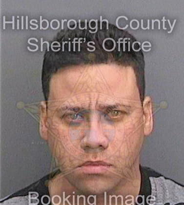 Pena Reinaldo - Hillsborough County, FL 