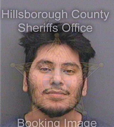 Ramirez Eric - Hillsborough County, FL 