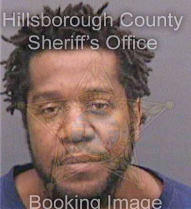 Mcdonald Chriss - Hillsborough County, FL 