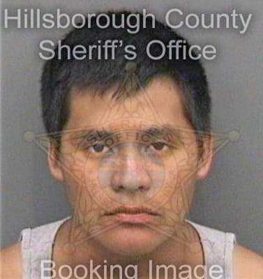 Diaz Luis - Hillsborough County, FL 