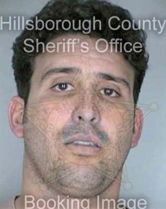 Vega Raymond - Hillsborough County, FL 