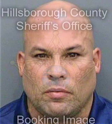 Gonzalez John - Hillsborough County, FL 