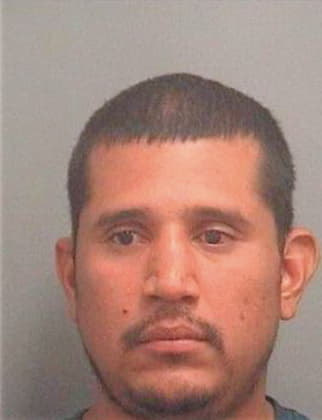 Hernandez Ezequiel - PalmBeach County, FL 